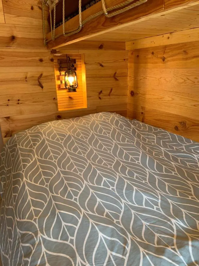 *** Bed & Breakfast Carpe Diem Jumet Belgium